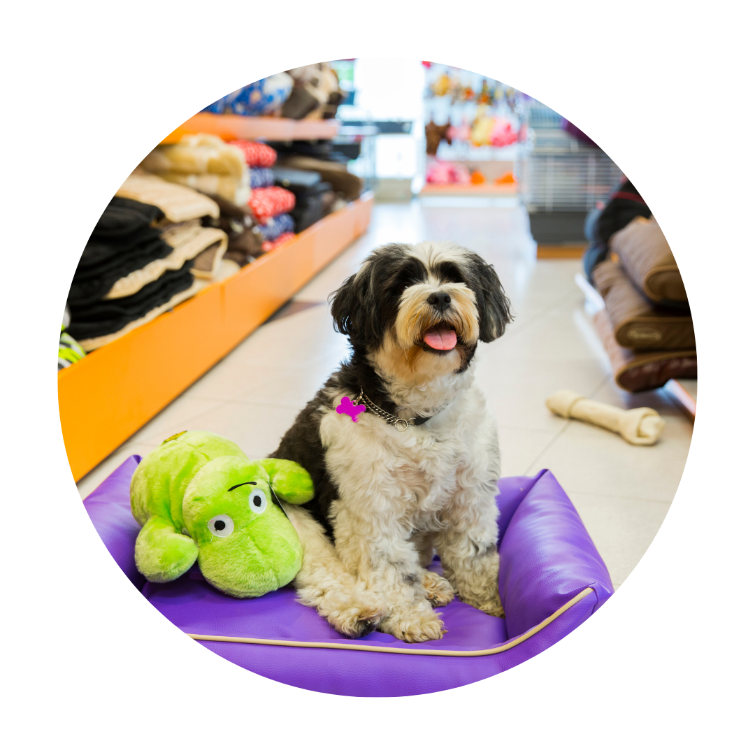 Copy of Buttons (13)